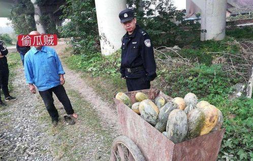 新疆博乐吃瓜事件,一场引发热议的街头冲突
