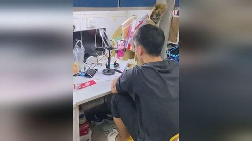 宿舍吃瓜视频,揭秘校园生活趣味瞬间