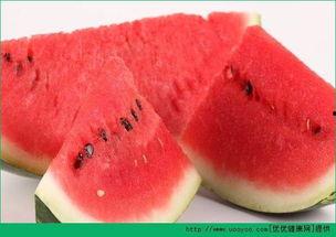 看人家吃海瓜很香,品尝大自然的馈赠