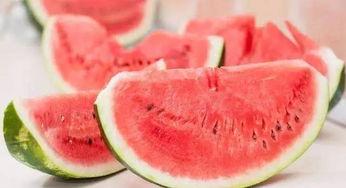 庄园吃瓜给衣服,瓜衣潮流来袭