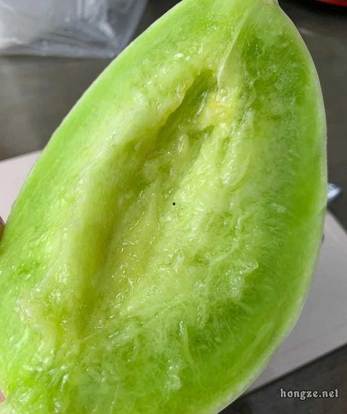 再也不半夜吃瓜,探索健康作息新生活