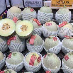 龙蜜瓜怎么做吃,解锁夏日清新美味新体验