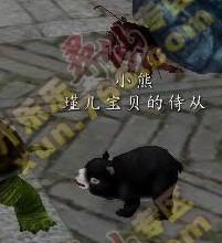 侍宠的吃瓜修养,揭秘宫廷中的趣味生活