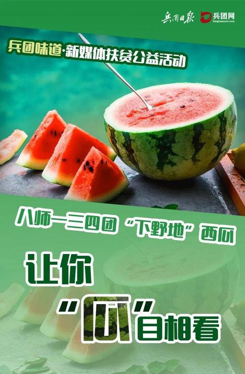 吃瓜观影团,揭秘影视幕后，畅谈娱乐热点