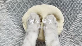 料理猫王吃瓜,美味与趣味并存