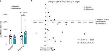 吃二甲双瓜体重增加吗,二甲双瓜摄入与体重变化解析