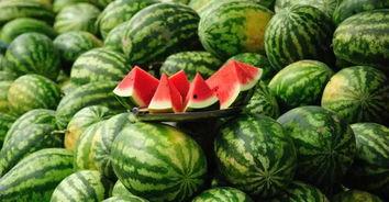 河北经贸闹鬼吃瓜,揭秘校园神秘“吃瓜”传闻