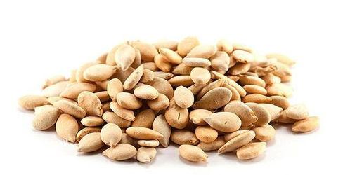 子叶吃瓜,揭秘植物界的“美食家”