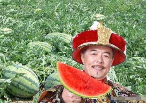 清朝吃瓜,宫廷八卦与民间传闻的交织