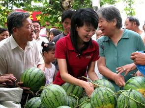 吃瓜群众瓜农,一场甜蜜的互动之旅