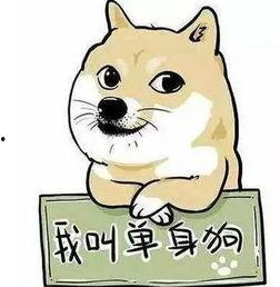 吃瓜群众单身狗,揭秘单身生活的酸甜苦辣