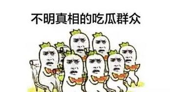 穿书吃瓜群众爱八卦,揭秘书中的那些不为人知的八卦秘密