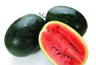 大武陟吃瓜视频